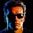 The Terminator's Avatar